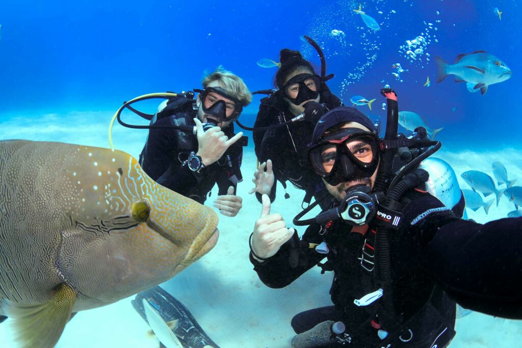 Cairns Scuba Diving Course