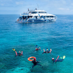 AquaQuest Great Barrier Reef Dive Snorkel Port Douglas