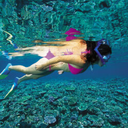 Budget Great Barrier Reef Snorkel Day Trip