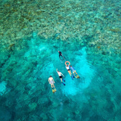 Budget Great Barrier Reef Snorkel Trip