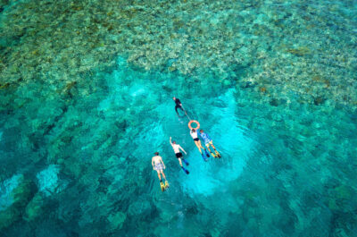 Budget Great Barrier Reef Snorkel Trip