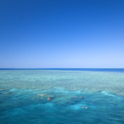 Cheap Great Barrier Reef Snorkel Trip