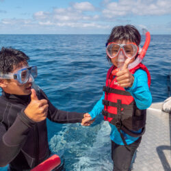 Cheap Great Barrier Reef Snorkel Trip Family