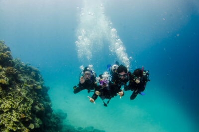 Budget Intro Scuba Dive Day Trip from Cairns