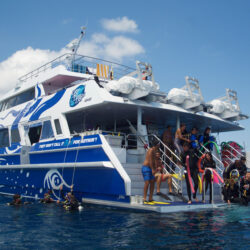 Divers Den ReefQuest Great Barrier Reef 