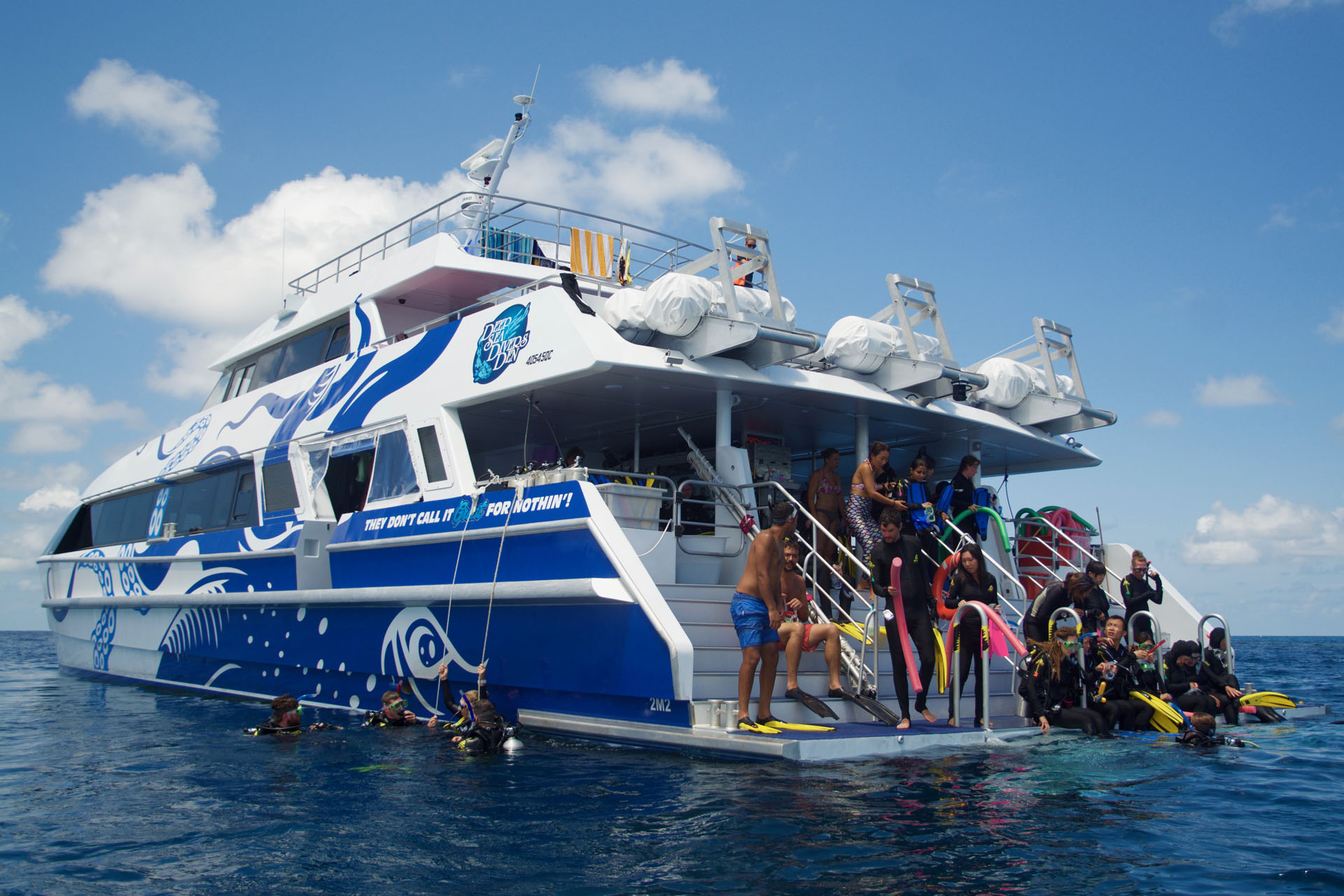 dive trips from cairns