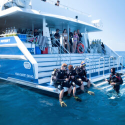 Great Barrier Reef Introductory Dive Port Douglas