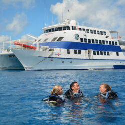 OceanQuest Liveaboard Dive Vessel Cairns