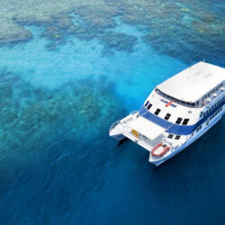 OceanQuest Liveaboard Great Barrier Reef