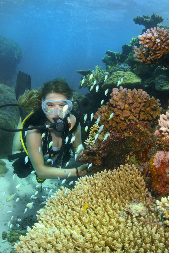 Port Douglas Cert Dive Great Barrier Reef