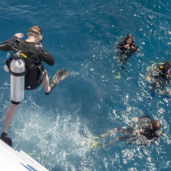 ReefQuest Great Barrier Reef Cert Dive Day Trip Divers