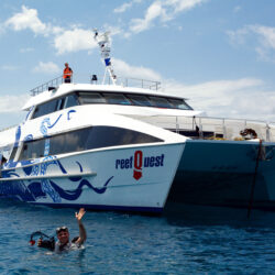 ReefQuest Outer Great Barrier Reef Intro Dive Trip Boat