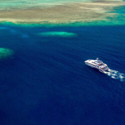 ReefQuest Outer Great Barrier Reef Snorkel Day Trip