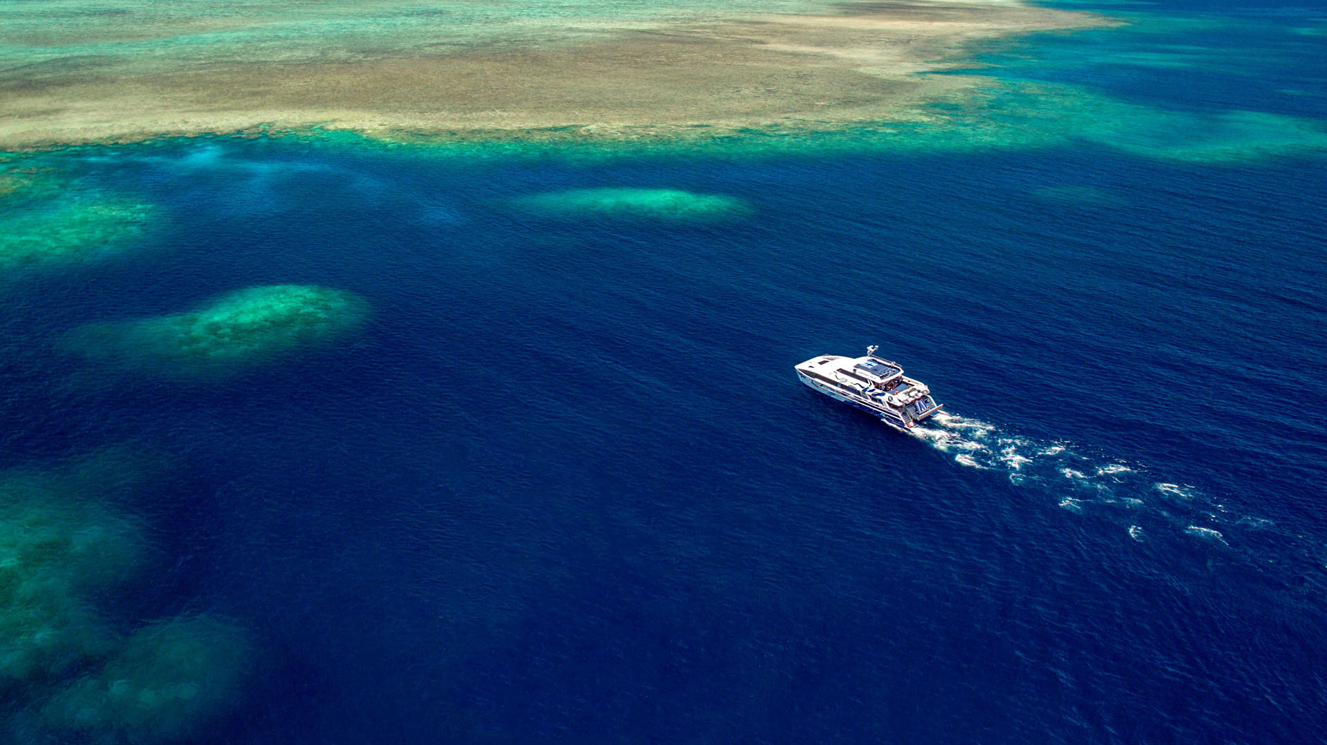 Outer Reef Snorkel Day Trip From Cairns | Divers Den