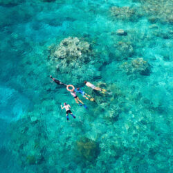 Great Barrier Reef Guided Snorkel Tour