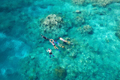 Great Barrier Reef Guided Snorkel Tour