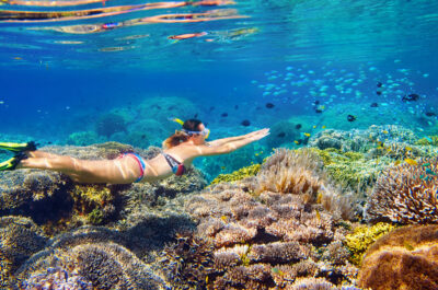 Cairns Outer Great Barrier Reef Snorkel Day Trip