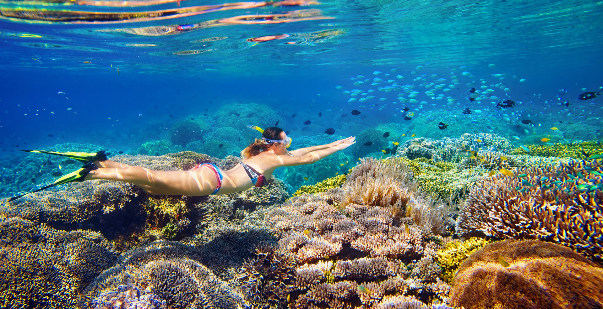Outer Reef Snorkel Day Trip From Cairns | Divers Den