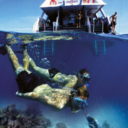 SeaQuest Great Barrier Reef Day Trip