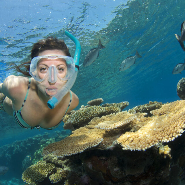 Snorkel Day Trip to Great Barrier Reef from Port Douglas Divers Den