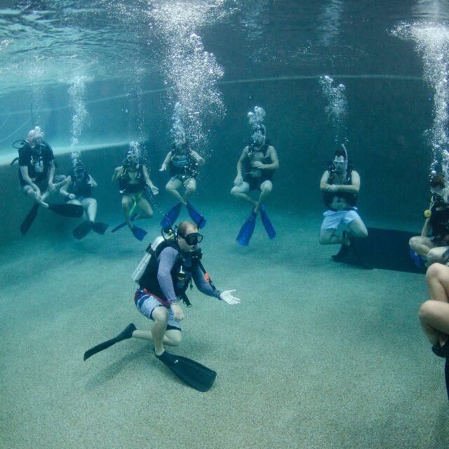 PADI Open Water Diver Courses, Cairns Divers Den