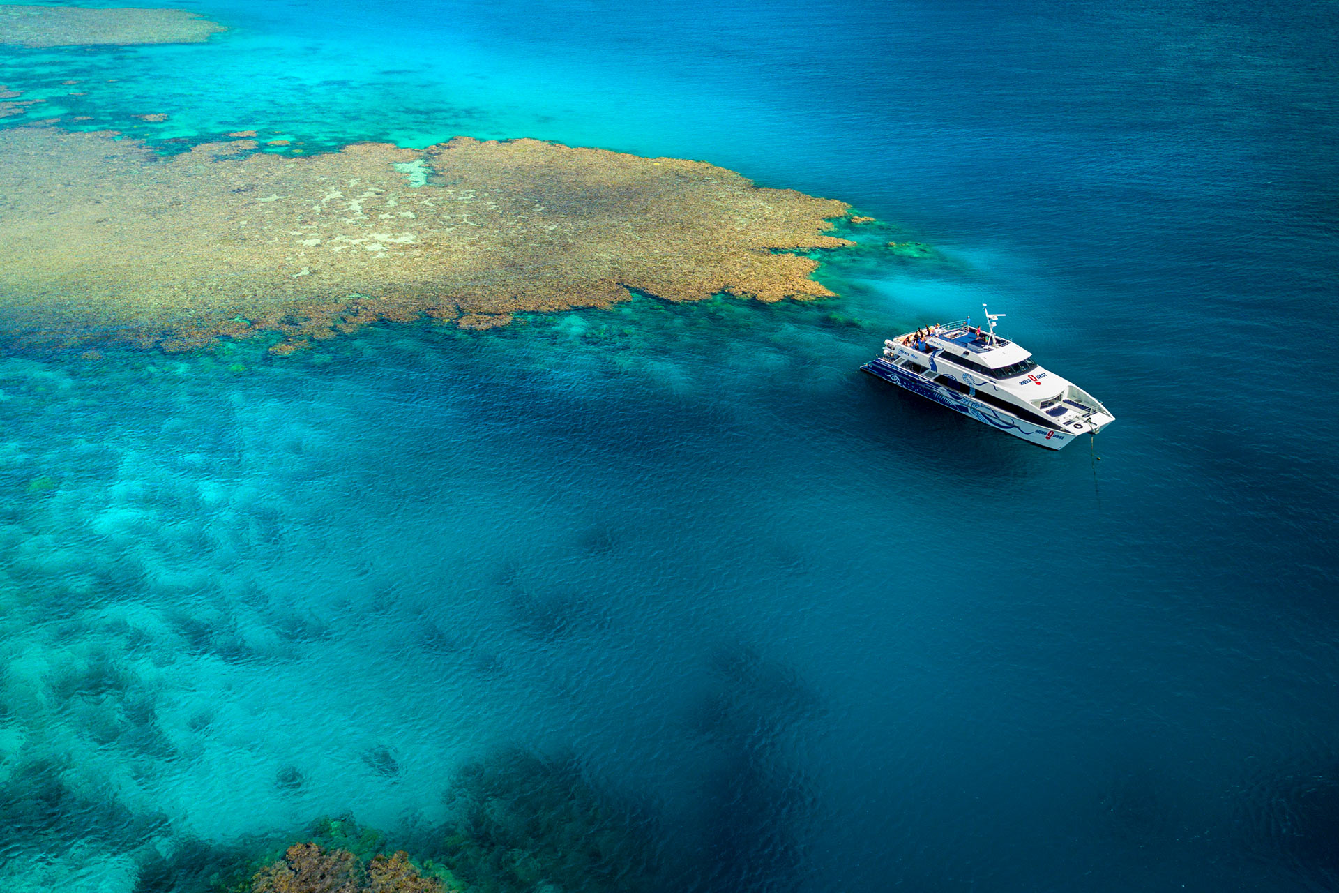 Outer Reef Introductory Diving Day Trip From Cairns Divers Den 