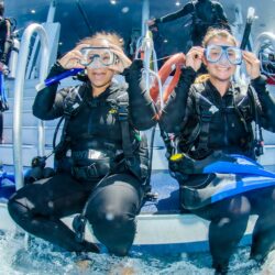 Scuba Diving on the Great Barrier Reef