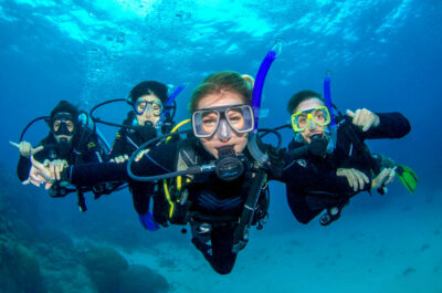 dive trips australia