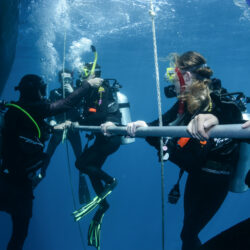 Learn to Scuba dive Great Barrier Reef