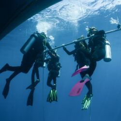 Learn to scuba dive on the Great Barrier Reef