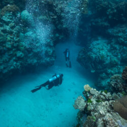 Scuba Diving Cairns