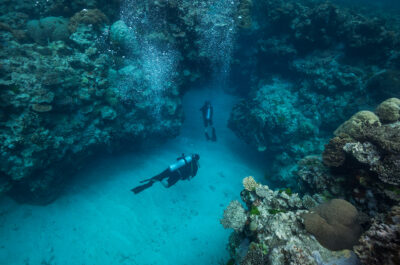 Scuba Diving Cairns