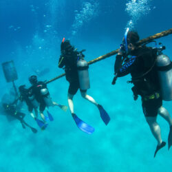 Scuba Diving Cairns Great Barrier Reef