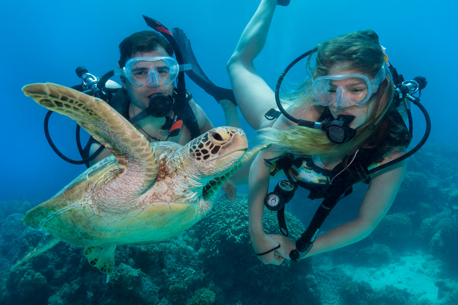 diving trips australia