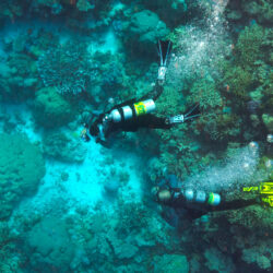 Nitrox Scuba Divers exploring the Great Barrier Reef