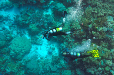 Nitrox Scuba Divers exploring the Great Barrier Reef