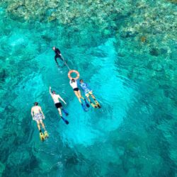 Snorkelling Trip from Cairns