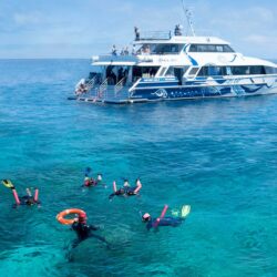 ReefQuest snorkel day trip from Cairns