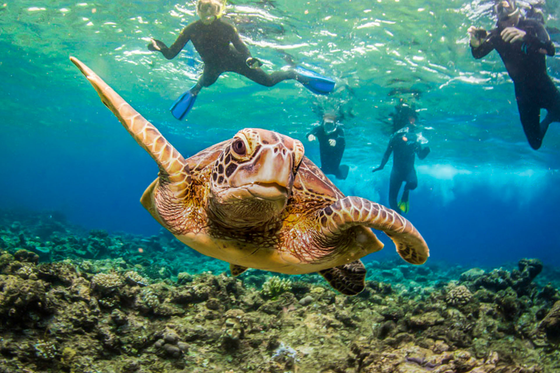 best time to visit cairns for snorkeling