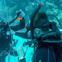 Divers Den Cairns IDC Professional Training