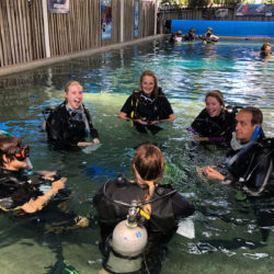 Divers Den Dive Centre heated pool Cairns