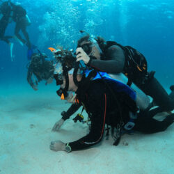 Divers Den IDC Cairns Open Water skills