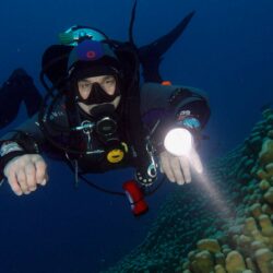 Night Diving Great Barrier Reef