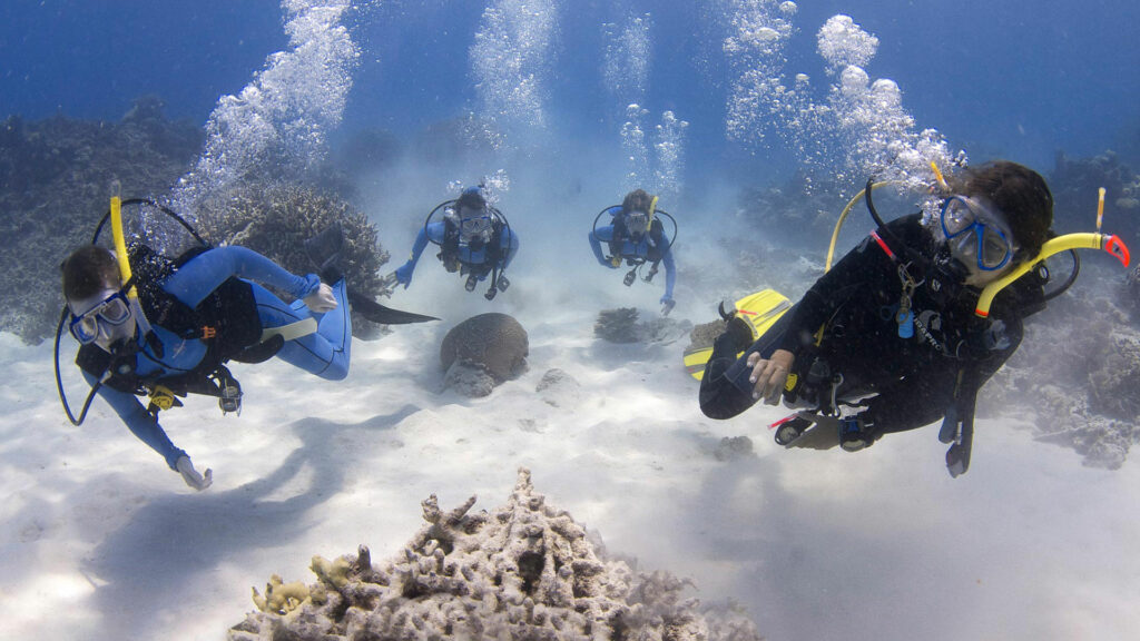 Divers Den Learning to Scuba Dive