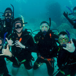 Divers Den PADI Course Progression