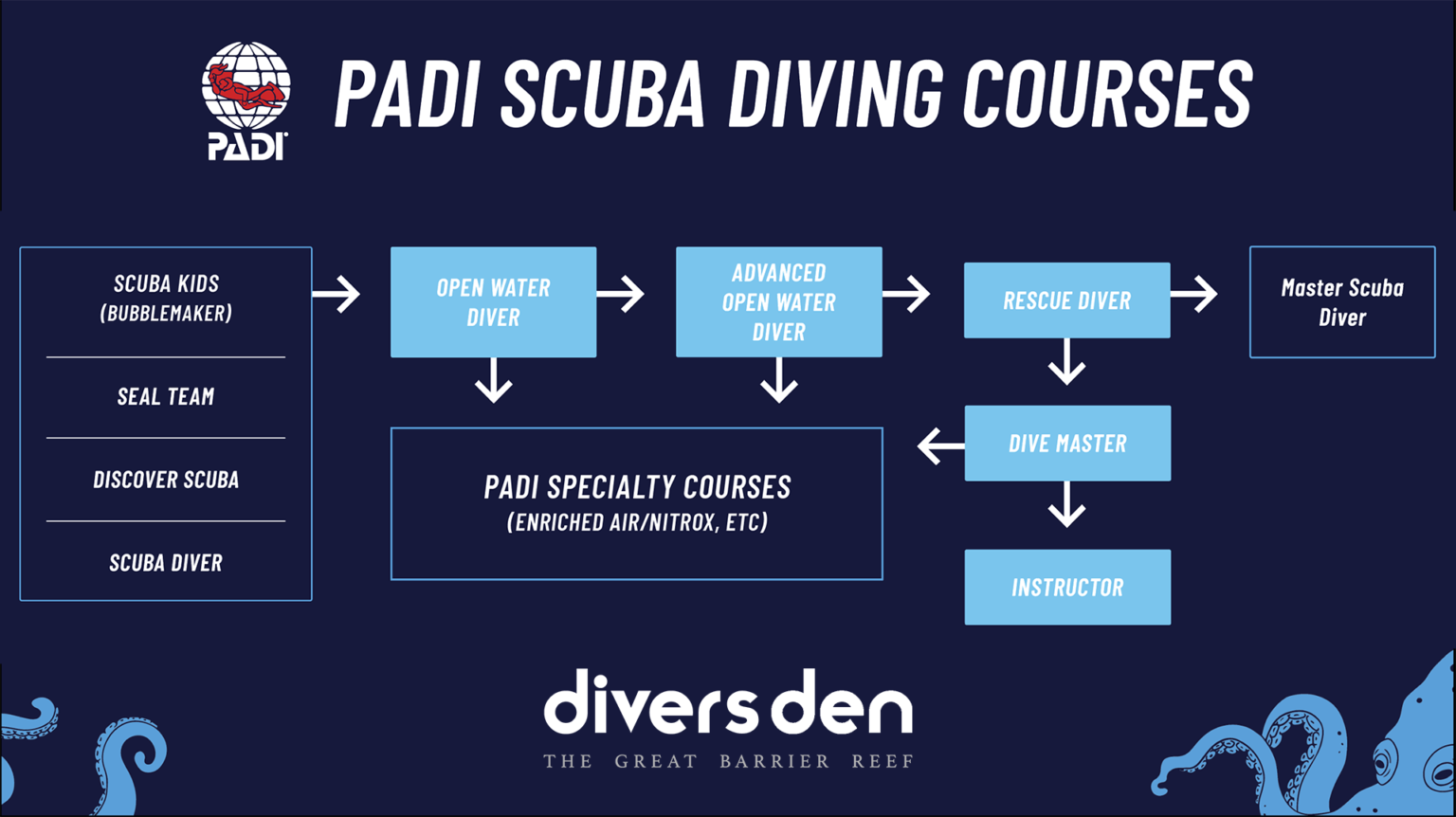 The PADI Course Progression Cairns Dive Courses Divers Den