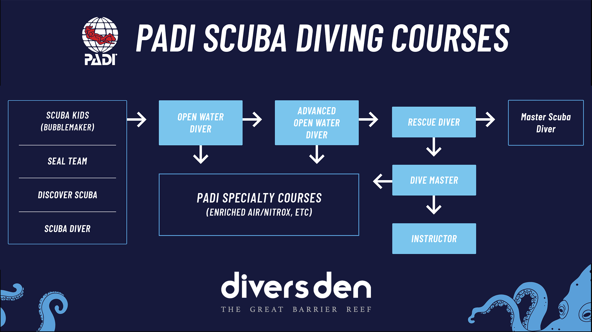 The PADI Course Progression Cairns Dive Courses Divers Den