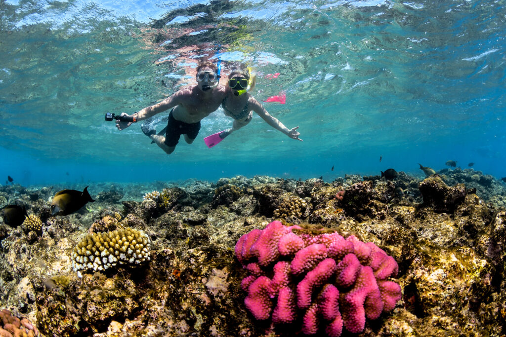 Great Barrier Reef Snorkel Trip from Cairns