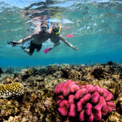 Great Barrier Reef Snorkel Trip from Cairns