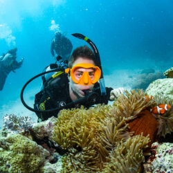 Cairns Divemaster Training Program - scuba diving